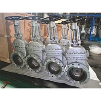 API 600 Casted Gate Valve