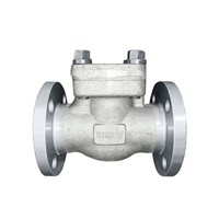 API602 Check Valve