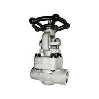 API602 Forged Gate Valve