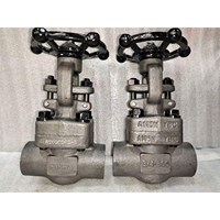 API602 Forged Gate Valve