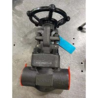 API602 Forged Gate Valve