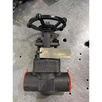 API602 Forged Gate Valve