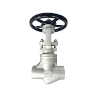 API602 Globe valve