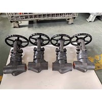 API602 Globe valve