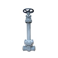 Bellow Sealed Gate Valve