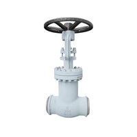 Bellow Sealed Globe Valve