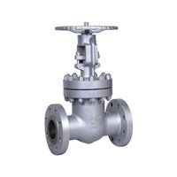 Casted Globe Valve