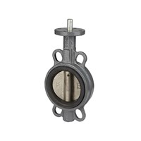 Centric Butterfly Valve