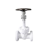 Cryogenic Gate valve