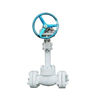 Cryogenic Globe Valve