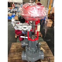 Diaphragm Type Control Valve