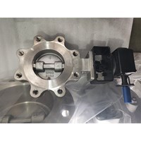 Double Offset Butterfly Valve