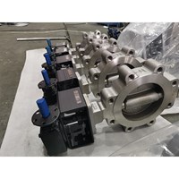 Double Offset Butterfly Valve