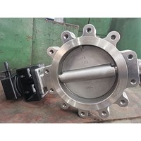 Double Offset Butterfly Valve