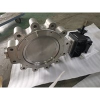 Double Offset Butterfly Valve