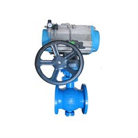 Eccentric Semi-Ball Valve