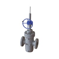 Expanded Gate valve