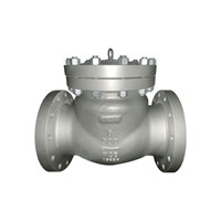 Swing Check Valve