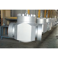 Swing Check Valve