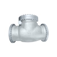 Swing Check Valve