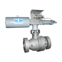 Trunnion Mounted Ball Valve, Side Entry (2-pc body)