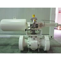 Trunnion Mounted Ball Valve, Side Entry (3-pc body)